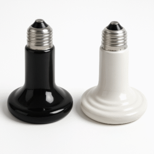 ChatGPT Image Jul 17 2025 01 12 04 PM