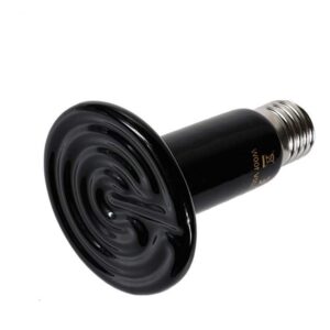 Ceramic Heating Bulb best price in pakistan