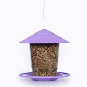 Plastic Hanging Bird Feeder in Pakistan – Garden Balcony Feeder