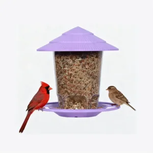 Bird Feeders
